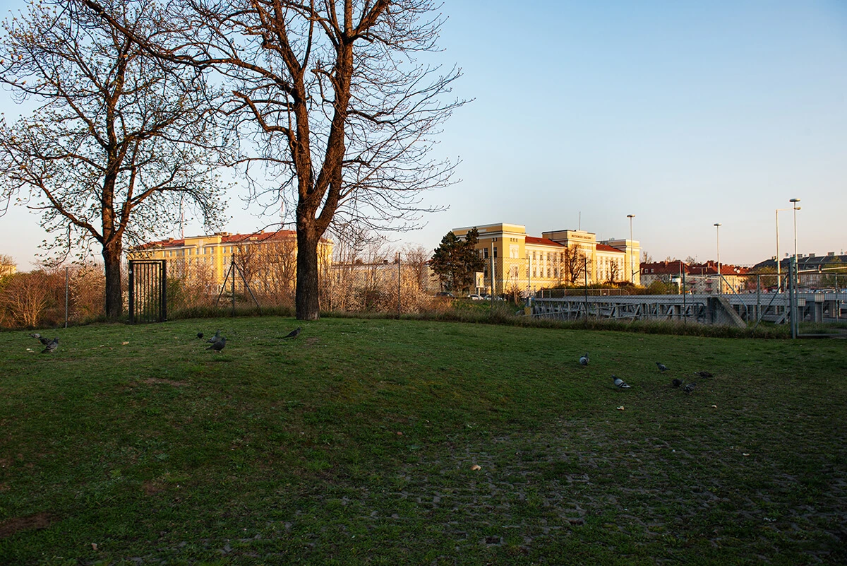 Straßenansicht Wien 